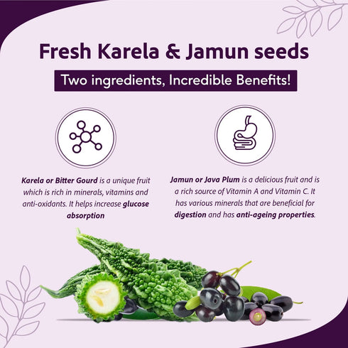 Sri Sri Tattva Karela Jamun Juice 1000ml